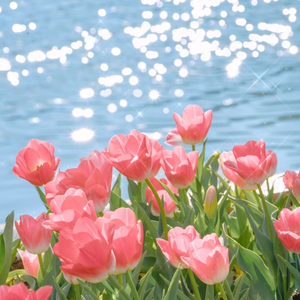 四十岁少妇尻屄
