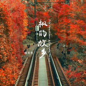 四十岁少妇尻屄
