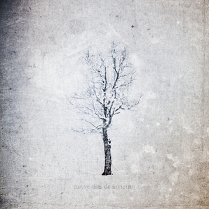 四十岁少妇尻屄
